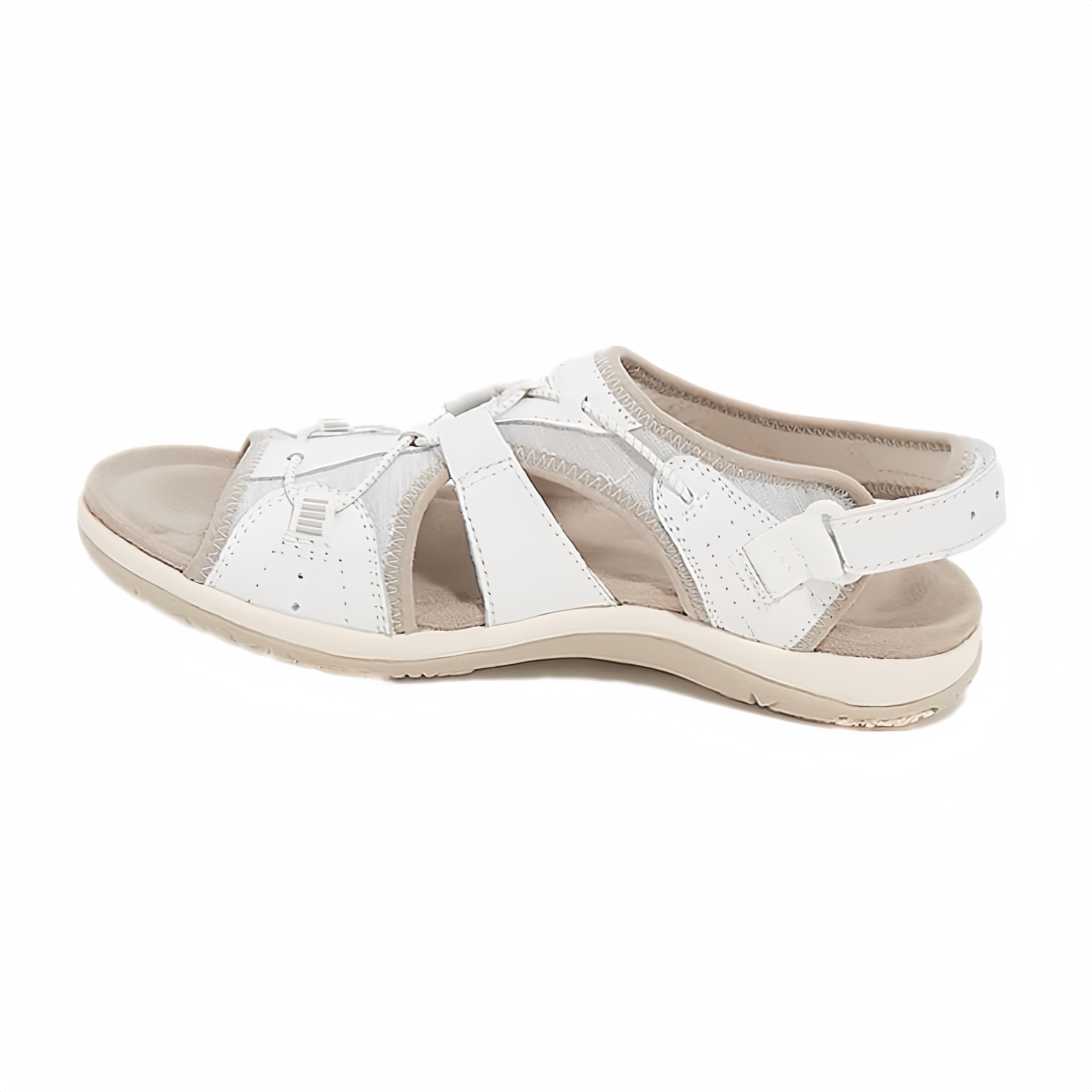 /6a11653d188dc10009cea107/2026/05/23/product-img-6a11688a91ef3d0d28f44087.png