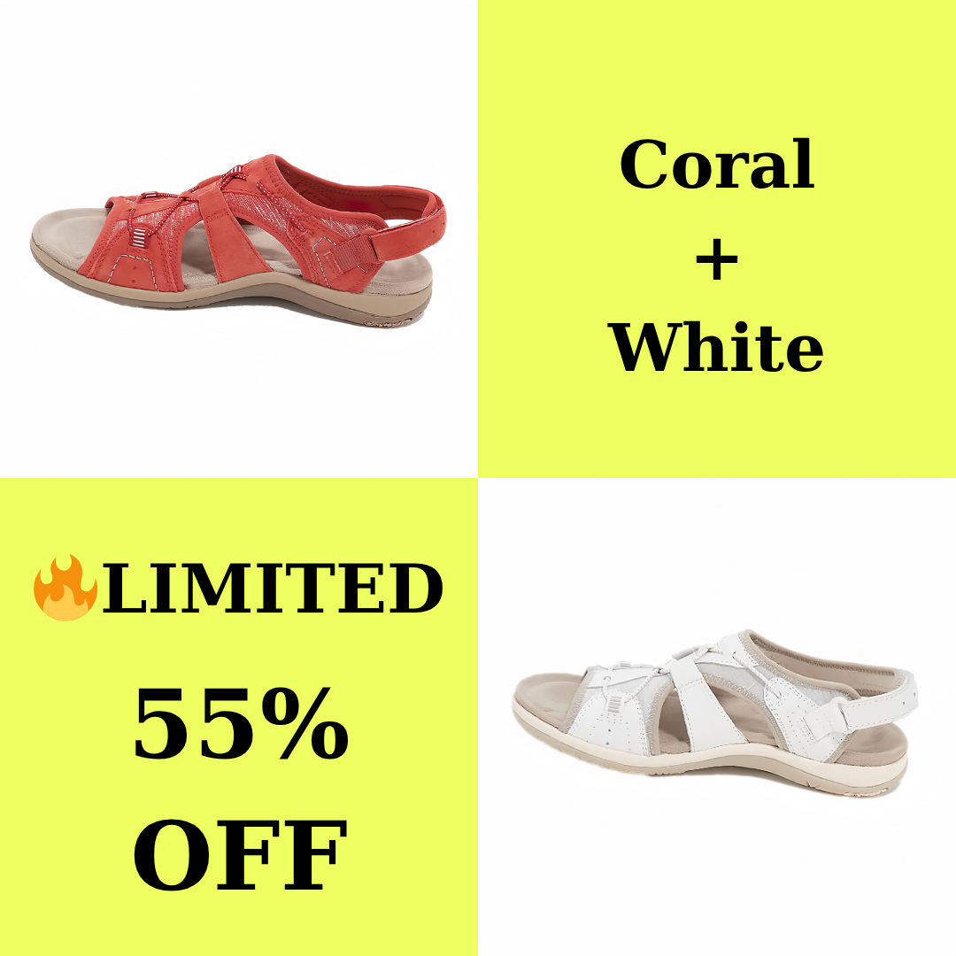 /6a11653d188dc10009cea107/2026/05/23/product-img-6a11688b91ef3d0d28f4408d.png